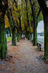 Late-afternoon view of Lake Como from Lecco, Italy, during autumn. Vibrant red, orange and green trees line the calm lakeshore beneath dramatic grey clouds. A distant couple stands by the water as the