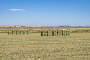 farms and ranches. E 500 Rd N, Saint Anthony, Fremont County, Idaho. Snake River Plain