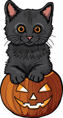Hand-drawn cat with Halloween pumpkin vector graphic