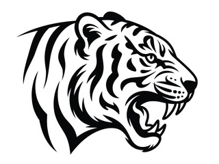 Fototapeta premium Black and white tiger head illustration roaring with sharp teeth on white background vector