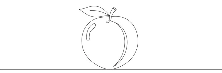 Peach in continuous line art style on a white background. Editable line art, vector illustration.