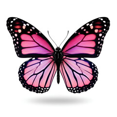 Vibrant Pink Butterfly with Black and White Accents on White Background