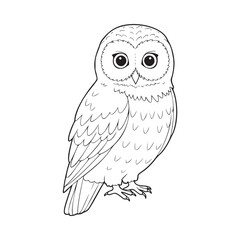 Adorable owl illustration in simple line art style, a charming design perfect for children's books and educational materials that sparks curiosity and wonder