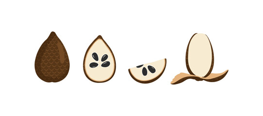 Salak fruit stages: whole, half, quarter, and peeled seed views