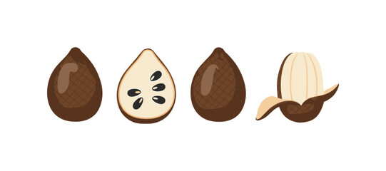 Baobab fruit stages isolated on white background