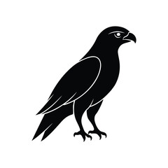 Hawk Silhouette Bird Icon On White Background
