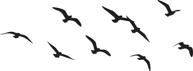 Illustration of flock of birds flying in formation in silhouette