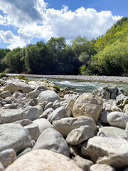 Scenic River and Alpine Forest. Majestic Mountain View with Pure Nature and Timeless Beauty