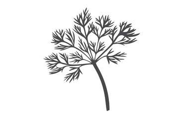 of Dill Herb on White Background, Food Ingredient Icon