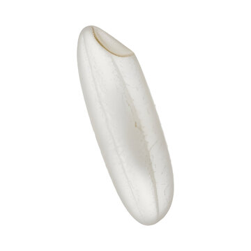 Single grain of white rice macro shot on a white background perfect for food blogs and culinary content