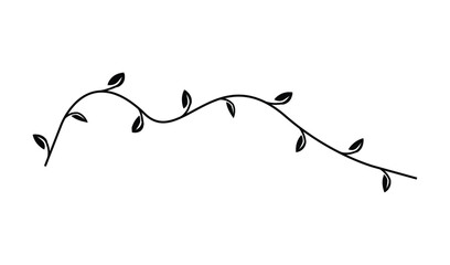 Hand drawn vine with leaves isolated on white background