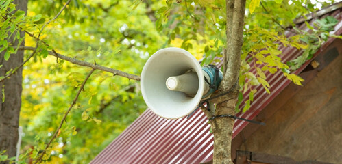 Megaphone in the tree in forest.