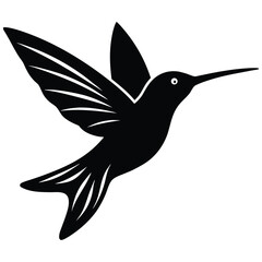 flying humming bird vector icon  on white background 