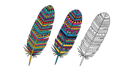 Tribal patterned feathers in bright colors and a detailed sketch of a feather.
