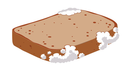 Moldy bread slice shows spoilage and food waste, highlighting decay and health concerns

