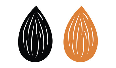 Two almond seeds isolated on white background illustration