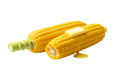 Two sweet corn cobs with melting butter