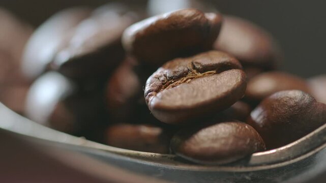 Bring a spoon of coffee beans closer as the lights shine and move, revealing the full texture and detail of these darkly roasted beans. Macro view of a common beverage ingredient.