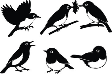 Bird silhouette vector illustration, flying bird, perched bird, nature wildlife art, black and white birds, minimal animal design, decorative clipart