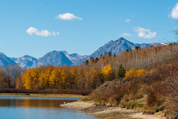Autumn in Grand Teton National park Mount Moran and the Skillet Glacier over the Snake River at...