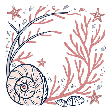 Seashells and corals create a marine frame
