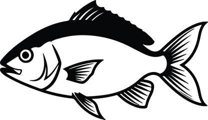 Illustrator Vector Fish outline drawing aquatic animal silhouette