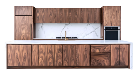 Stylish Contemporary Kitchen Setup