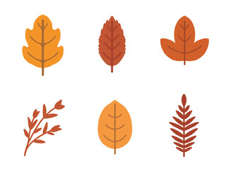 autumn leaves vector set in flat design