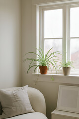 Sunlit Interior with Spider Plants and Cozy Reading Nook
