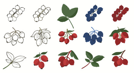 Various colorful berries and leaves illustrations perfect for design, food, and nature projects

