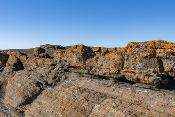 North Menan Butte Trail, tuff cones - volcanoes. Madison County, Idaho. Snake River Plain. Tuff is a type of rock made of volcanic ash ejected from a vent during a volcanic eruption.  Flechte / Lichen