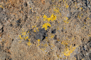 North Menan Butte Trail, tuff cones - volcanoes. Madison County, Idaho. Snake River Plain. Tuff is a type of rock made of volcanic ash ejected from a vent during a volcanic eruption.  Flechte / Lichen