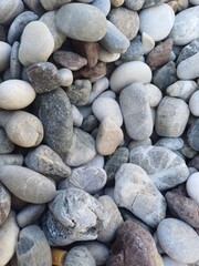 Smooth river stones scattered on the ground in various colors