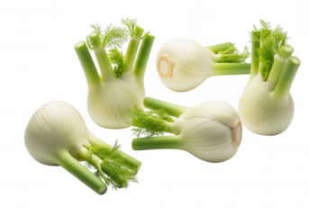 White bulbous vegetables with green fronds isolated on a transparent background