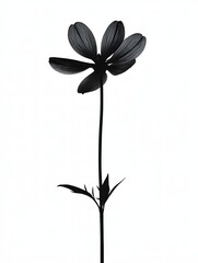 flower silhouette illustration png transparent background