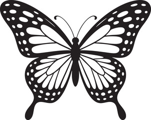 Black and white butterfly silhouette with detailed wings isolated on light background vector illustration for design use.
