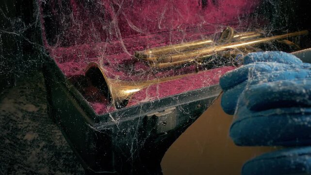 Old Trumpet Abandoned In Dusty Attic
