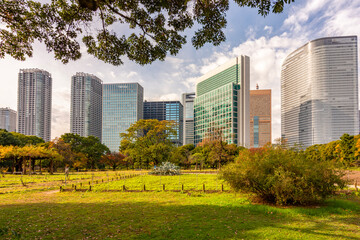 Obraz premium Hamarikyu gardens with Shiodome skyscrapers at background in autumn, Tokyo, Japan