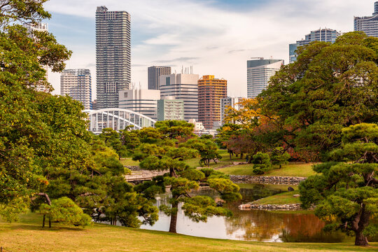 Hamarikyu gardens with skyscrapers at background in autumn, Tokyo, Japan