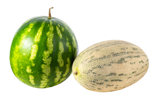 Fresh ripe watermelon and yellow melon isolated on transparent background, perfect for design, food concepts, summer themes and healthy nutrition ideas.