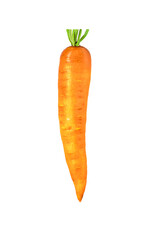 Fresh raw carrot with short green stem isolated on transparent background. Bright orange vegetable, edible root