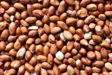 Peanut bird food seed background backfrop. Feeding nature through winter concept.