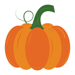 Orange pumpkin with green stem and vine illustration
