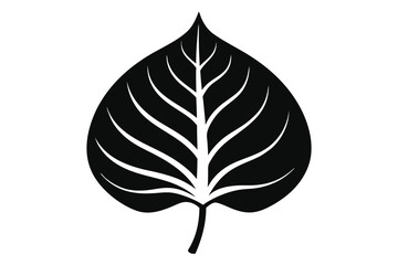 Simple monochrome leaf depicts natural growth, showing stylized vein details against a white backdrop