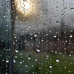 Reflections in Rain: Water Droplets on a Glass Window Pane