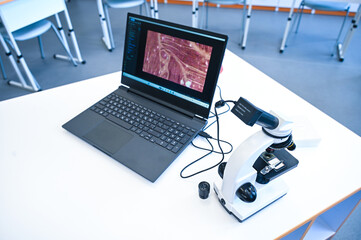 Connecting Microscopic Worlds to Digital Screens in the Lab