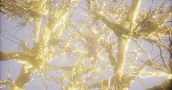 Intricate neural connections weave together in a brilliant display of golden light. This stunning representation reveals the beauty of the brain intricate pathways and their dynamic interactions.