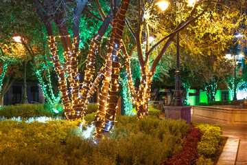 A tree with lights on it is lit up in a park. The lights are green and yellow. Historic center of...