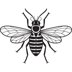 Fototapeta premium Vector art of stylized bee illustration