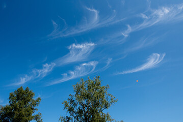 white wind blown clouds in a blue sky